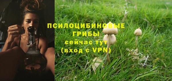 гашик Бугульма