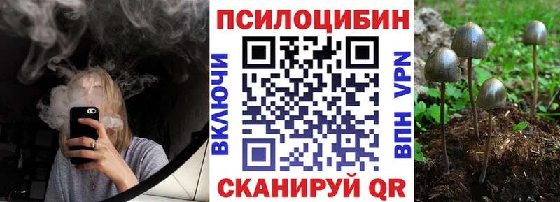 Псилоцибиновые грибы Psilocybe  hydra   Ленинградская  наркотики 